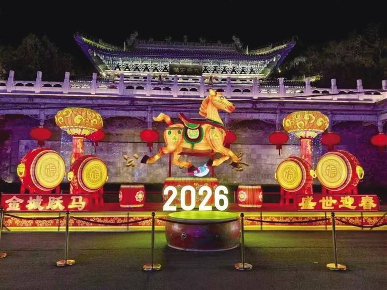 “马元素”主题花灯