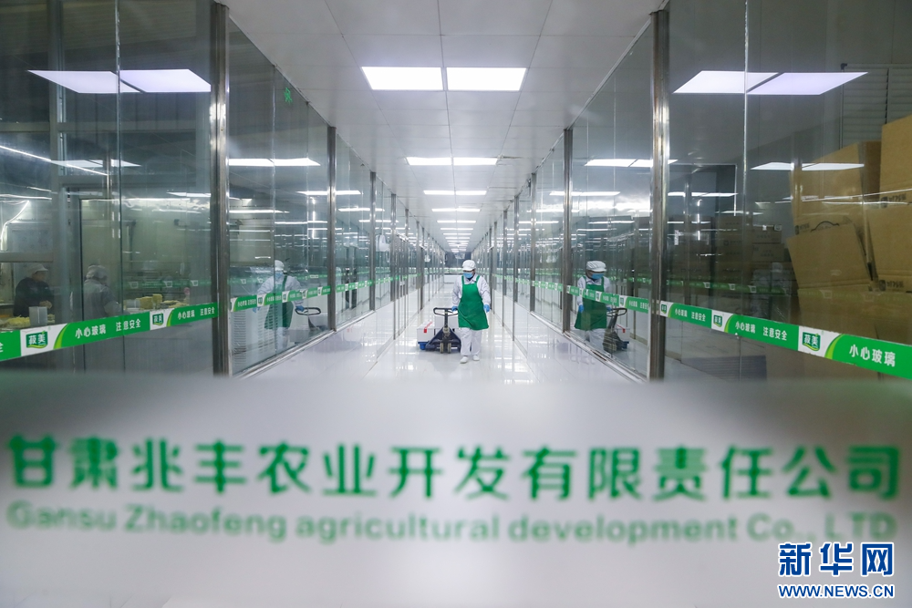 1月15日，在甘肃省陇南市徽县的甘肃兆丰农业开发有限责任公司无尘车间走廊，工作人员转运豆制品。新华社记者　郎兵兵　摄