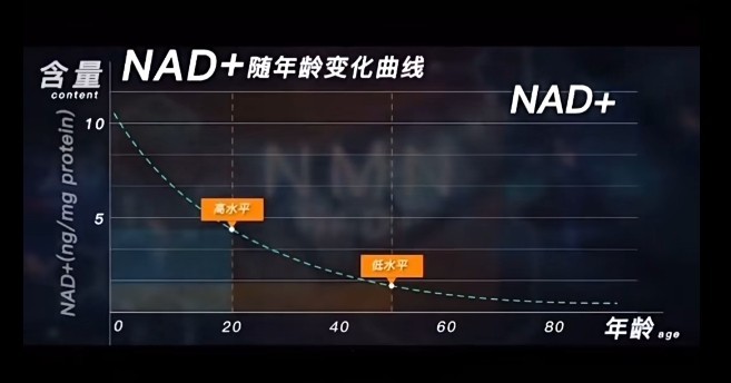 点击查看原始图片