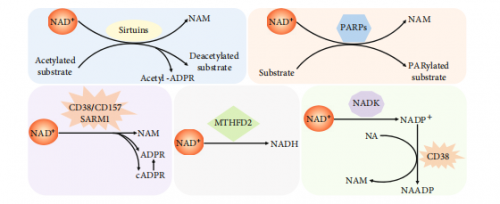 点击查看原始图片