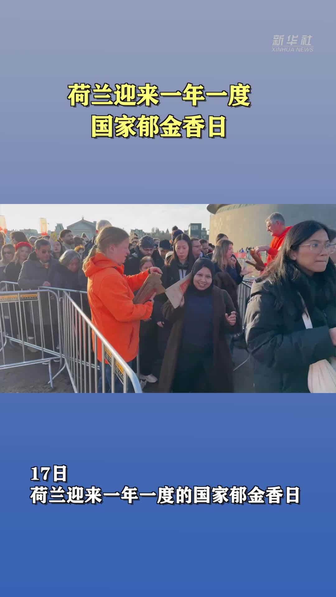 荷兰迎来一年一度国家郁金香日