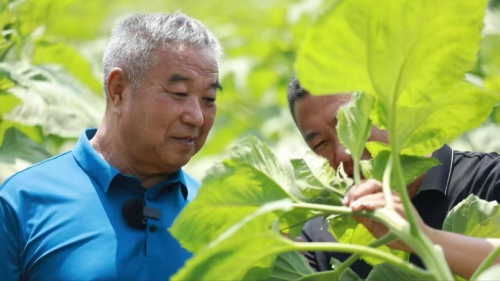 点击查看原始图片