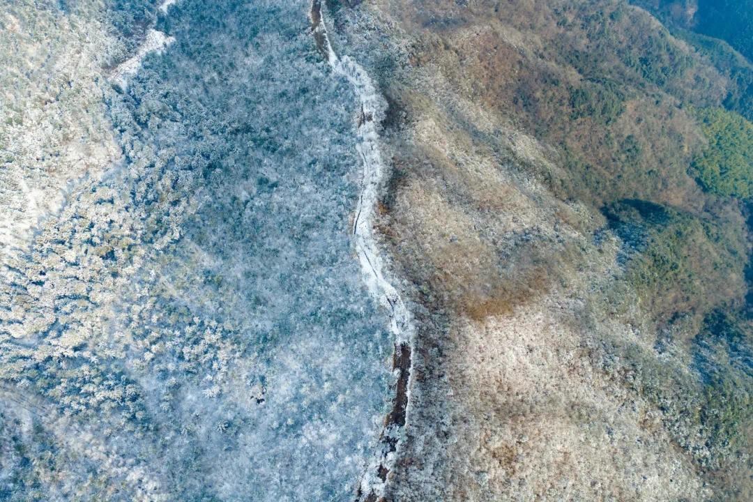 1.2 鲁巍四明山宁波林场雪景 (3).jpg