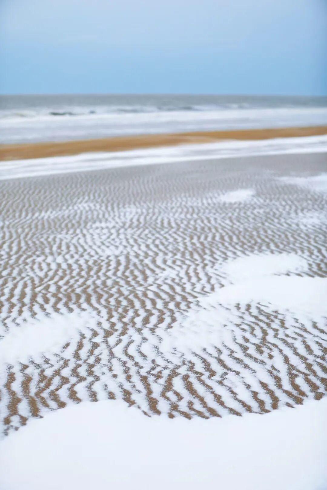 赵洪强 日照海滨国家森林公园/摄