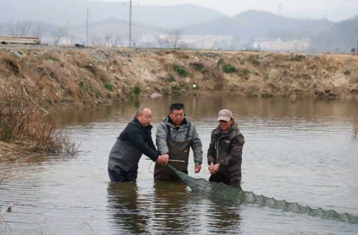 江西彭泽朱永胜：四十年初心如磐 书写“为农服务”答卷