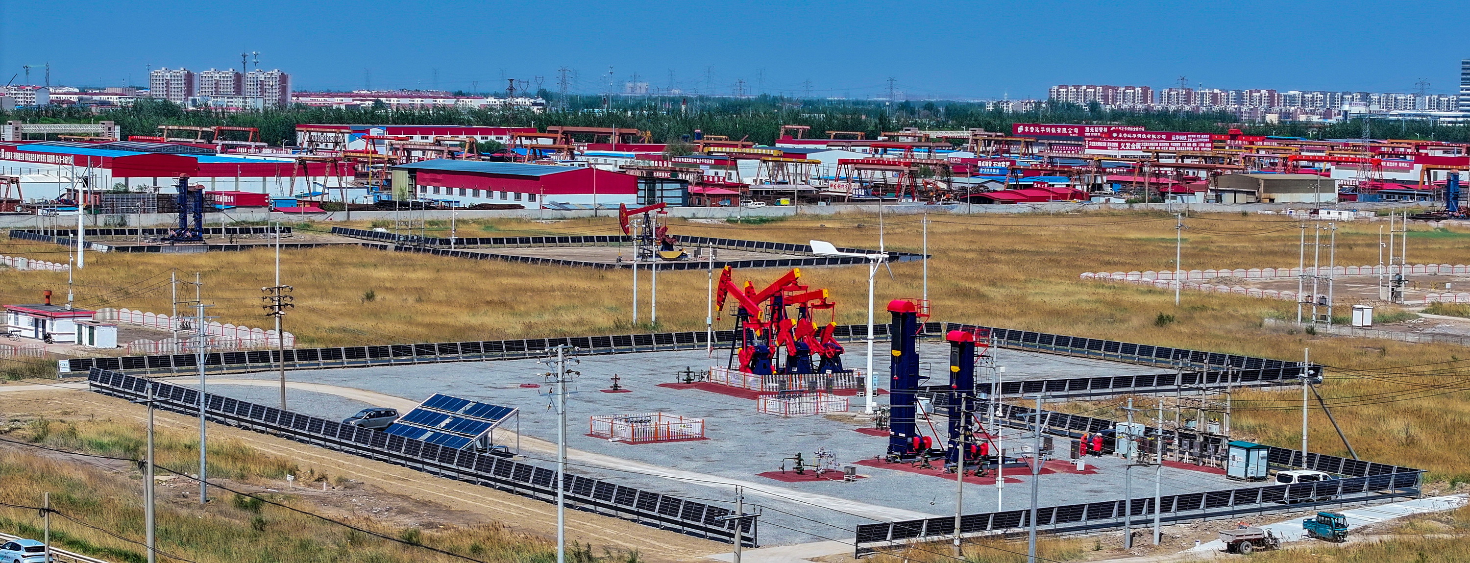 胜利油田东辛采油厂:生态优先绘东辛底色