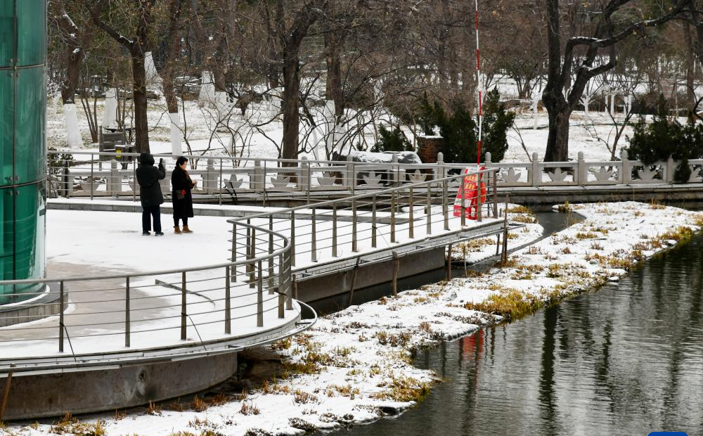 山东济南今年首场降雪