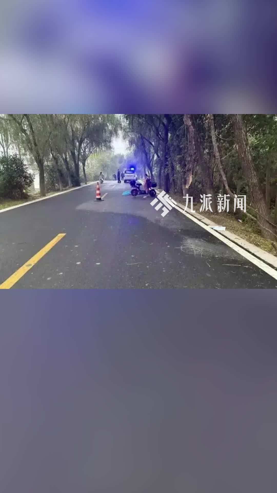 教师骑车上班途中“撞树枝”身亡：判赔76万元，镇政府称已申诉