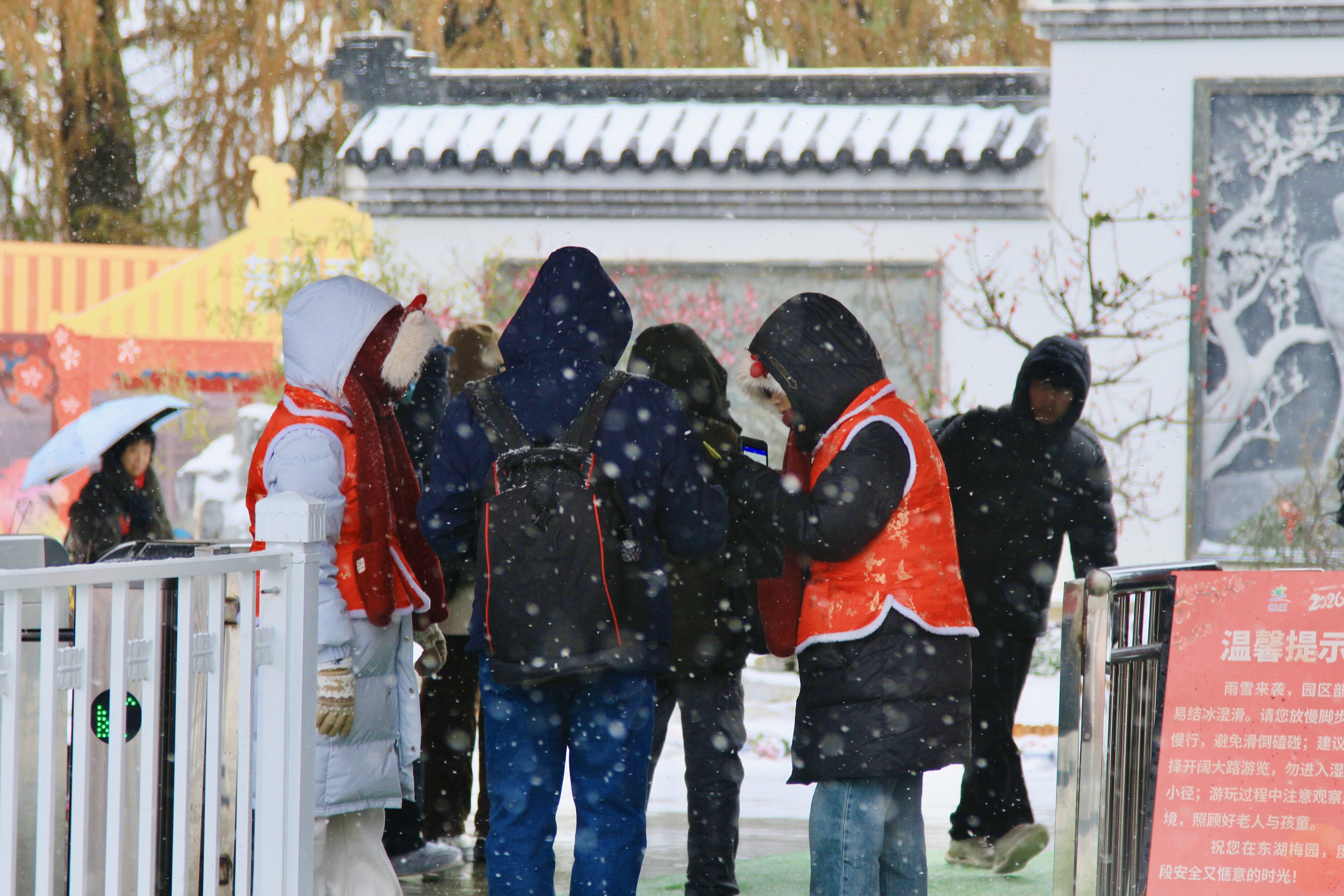 初雪染梅枝 暗香漫东湖
