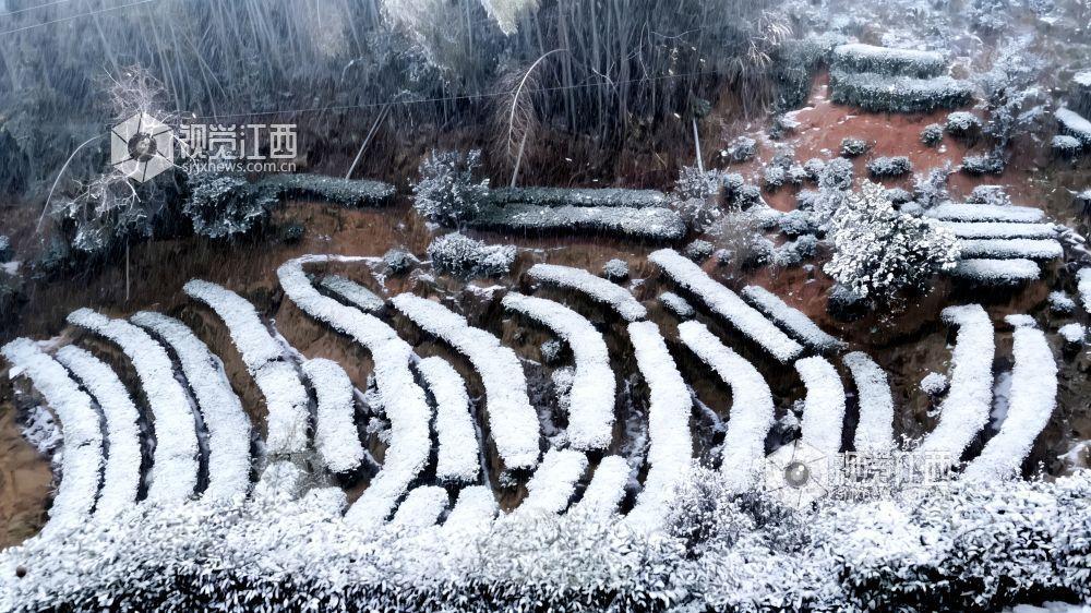 2026年1月21日，江西省遂川县高坪、营盘圩等山区乡镇，黛山、屋舍、田垄皆覆素白，宛如水墨画卷。