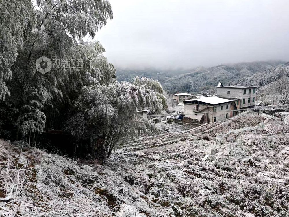 2026年1月21日，江西省遂川县高坪、营盘圩等山区乡镇，黛山、屋舍、田垄皆覆素白，宛如水墨画卷。