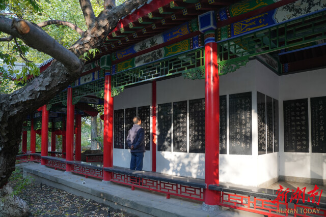 游客在岚园碑林欣赏纪晓岚的诗词。