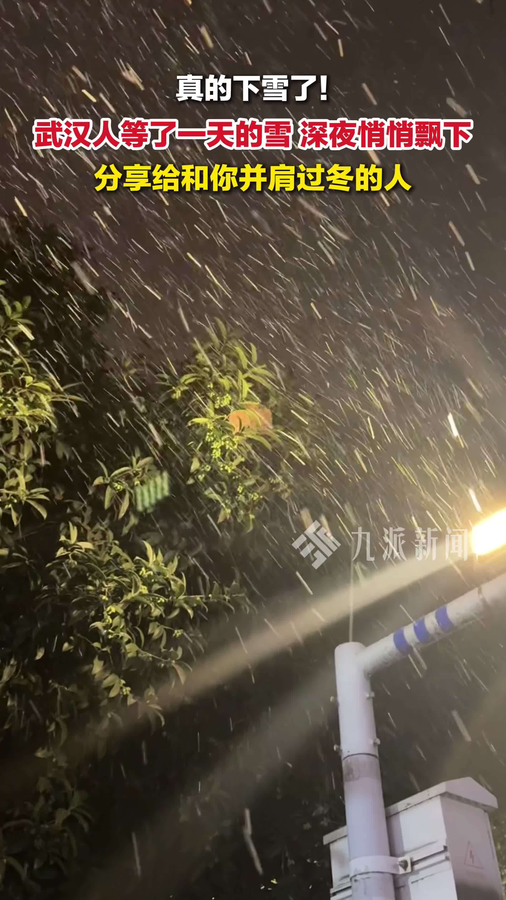 武汉真的下雪了！1月19日晚，武汉迎来2026年第一场雪