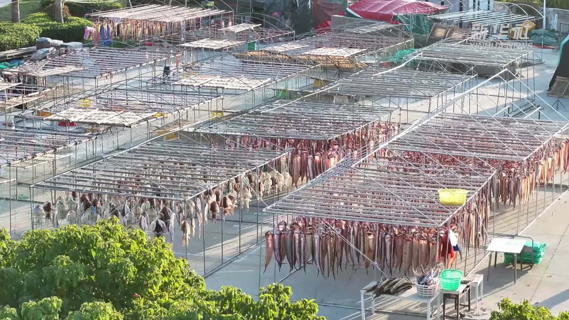 海岛晒冬正当时 渔村鱼鲞味飘香