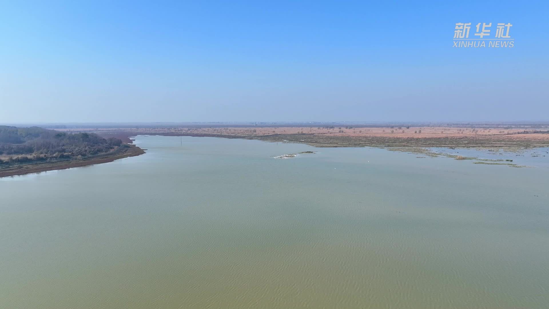 湖南沅江：守护湿地  万鸟归栖