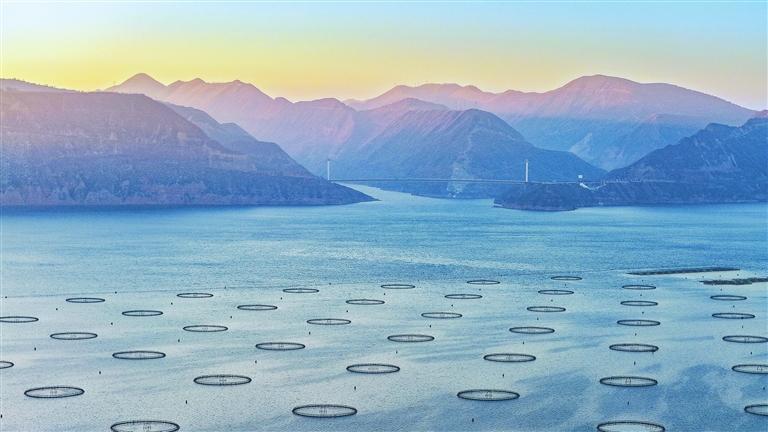 利用生态环保网箱进行规模化养殖