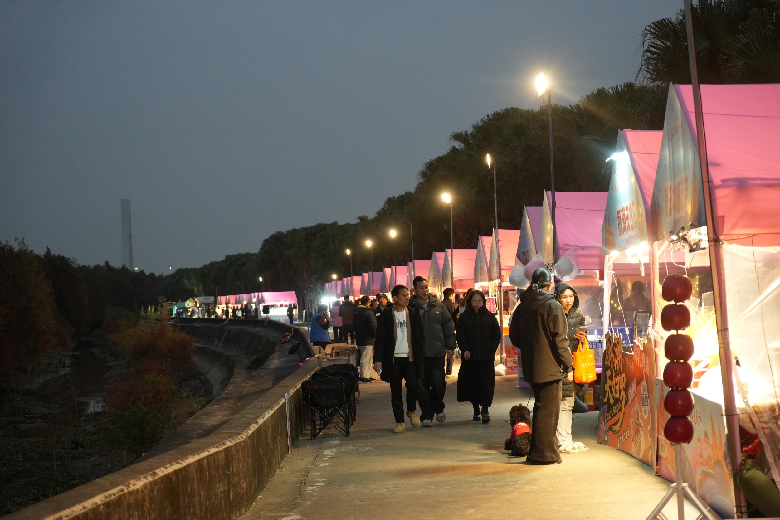 三年深耕成IP 中山港口落羽杉美拉德冬日嘉年华焕新启幕