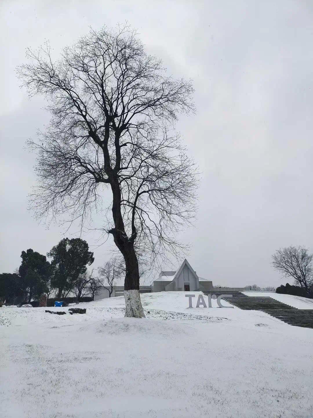 雪中武汉园博园 ,冷艳之美 徐志刚摄.jpg