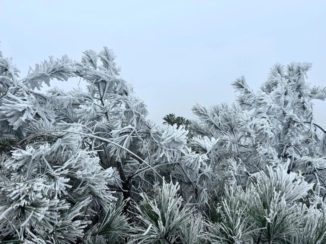 会昌第一高峰盘古嶂