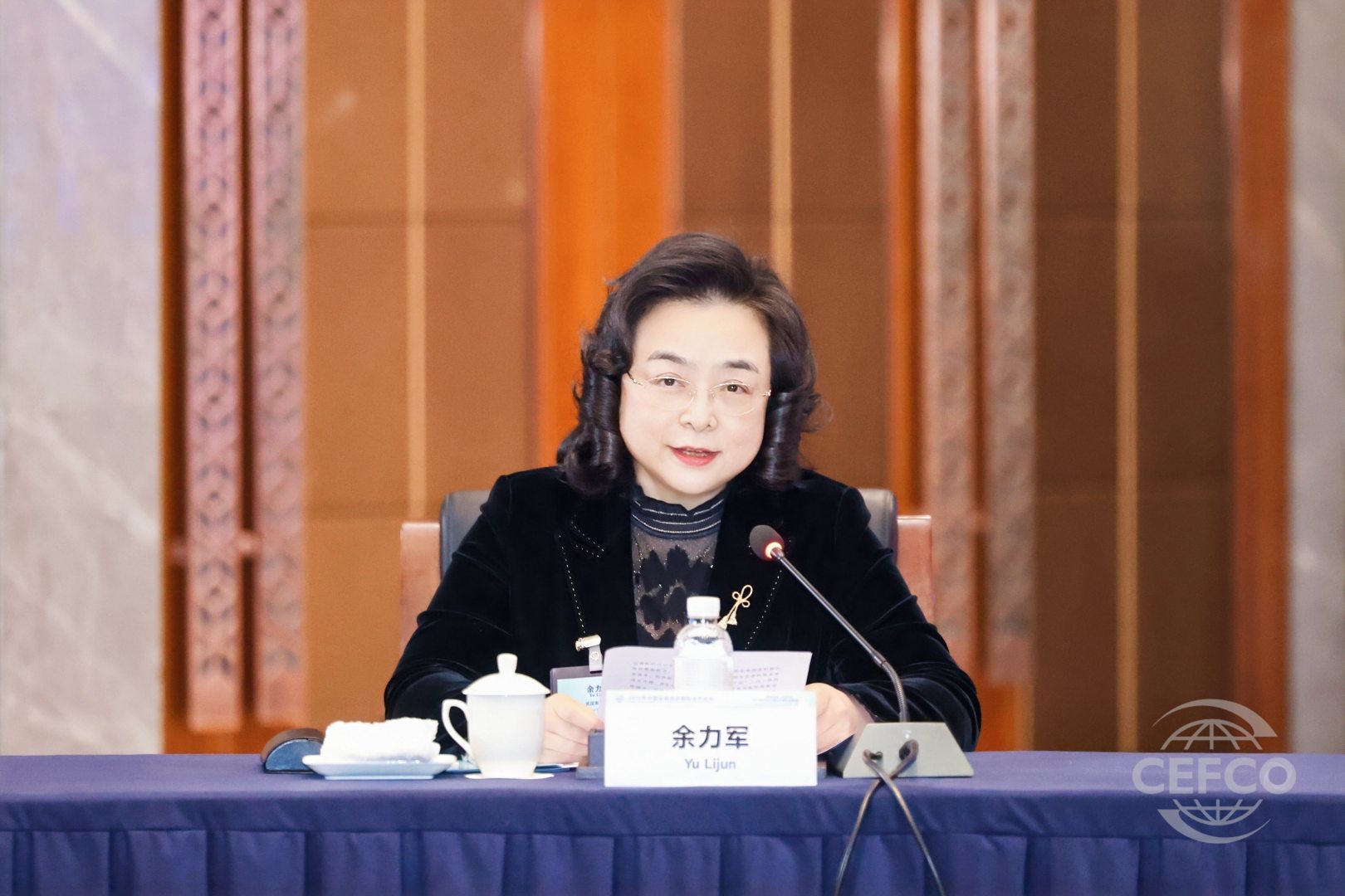 全球顶尖会展机构代表齐聚武汉 共筑全球会展新枢纽