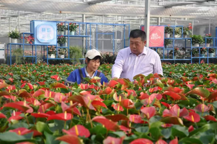 江西彭泽朱永胜：四十年初心如磐 书写“为农服务”答卷