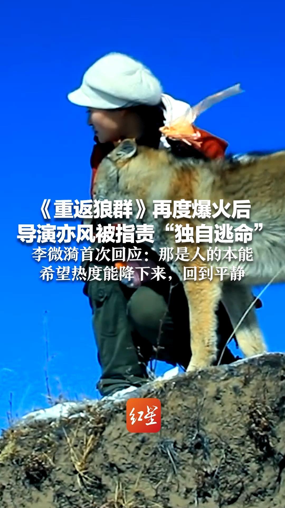 《重返狼群》再度爆火后 导演亦风被指责“独自逃命”李微漪首次回应：那是人的本能 希望热度能降下来，回到平静