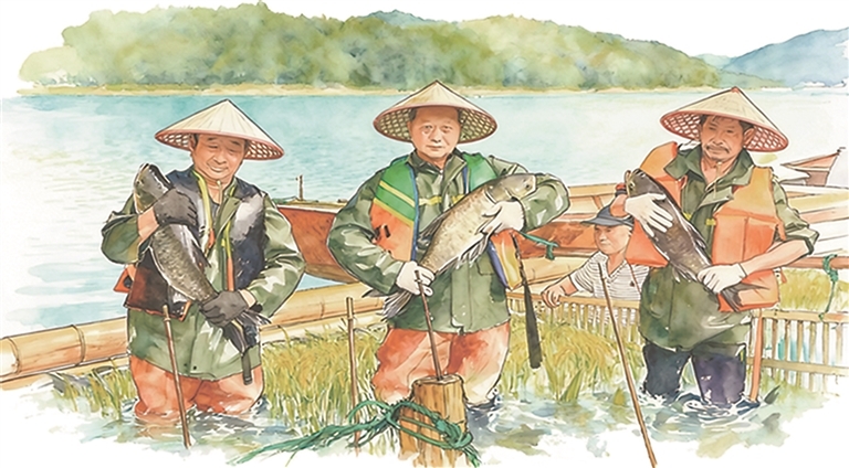 鄱阳县连续16年产粮超20亿斤，全国超级产粮大县如何坐稳地位？