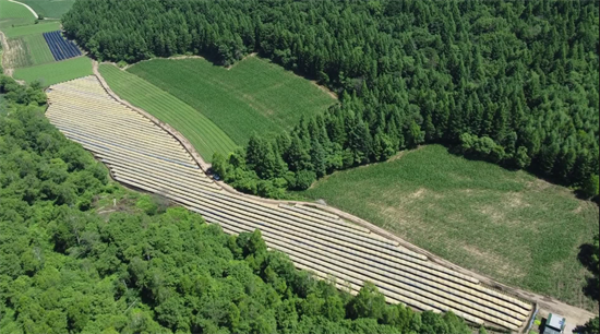 ▲药食同源种植基地 安图县委宣传部提供