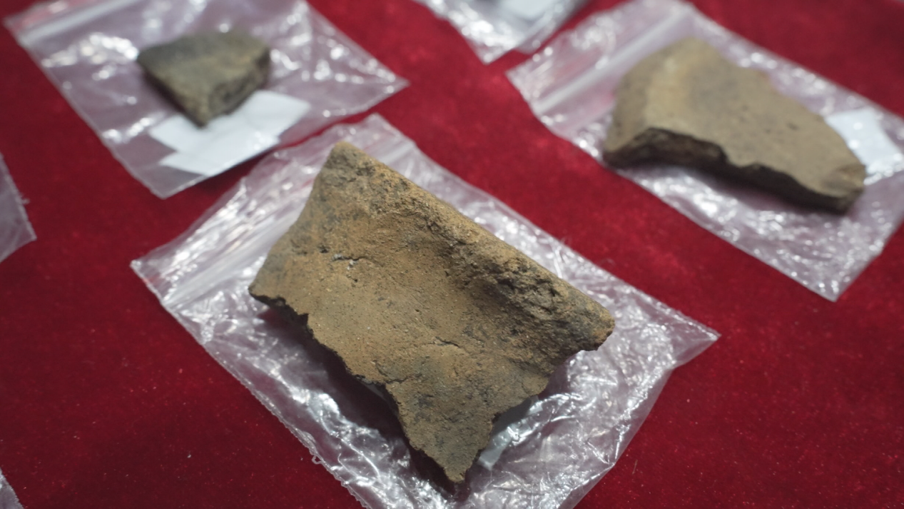 新开流遗址考古调查勘探项目考古文物