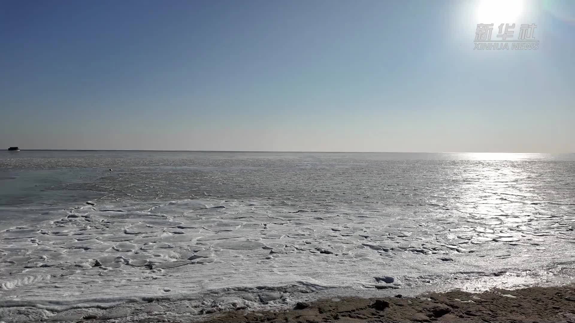 渤海辽东湾海域进入严重冰期