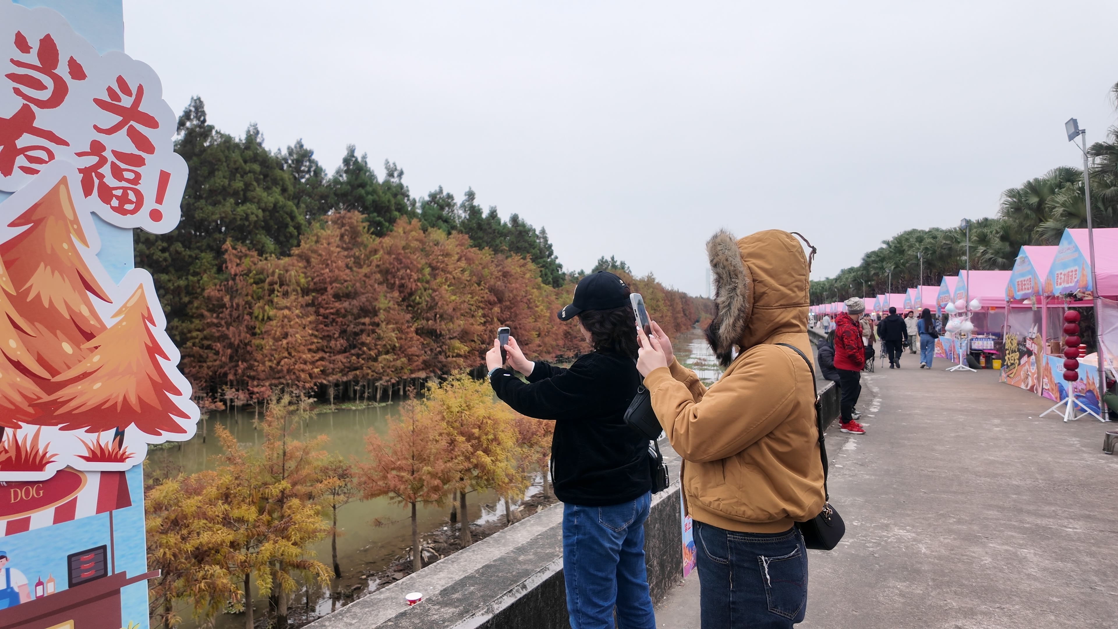 三年深耕成IP 中山港口落羽杉美拉德冬日嘉年华焕新启幕
