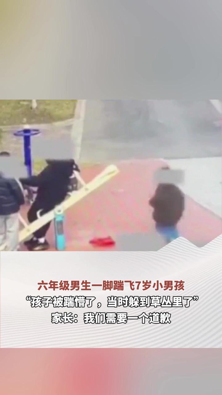 六年级男生一脚踹飞7岁小男孩 “孩子被踹懵了，当时躲到草丛里了”家长：我们需要一个道歉
