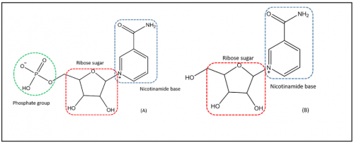 点击查看原始图片