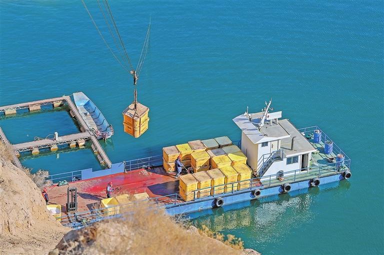 装在保温箱内的鲜鱼上岸即送往加工厂