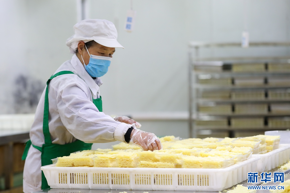 1月15日，在甘肃省陇南市徽县的甘肃兆丰农业开发有限责任公司生产车间，工作人员将生产的油炸豆皮码放整齐。新华社记者　郎兵兵　摄