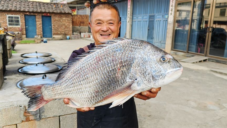 940买2条15斤白蜡鱼，大叔做渔村传统鱼冻，十几人吃得赞不绝口