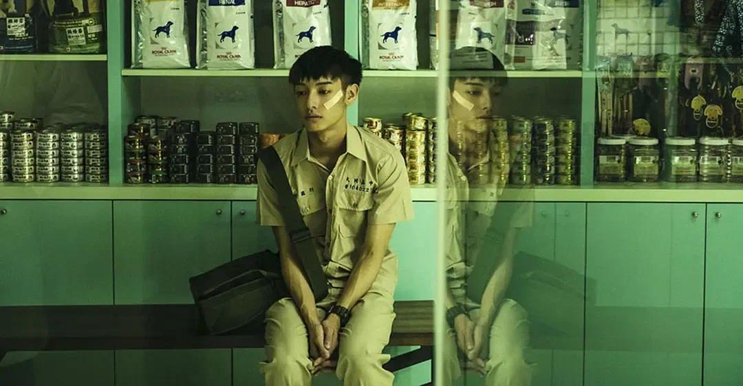 过于蓬勃的生命力,有时也会让人不知所措 | 星期天文学·李唐