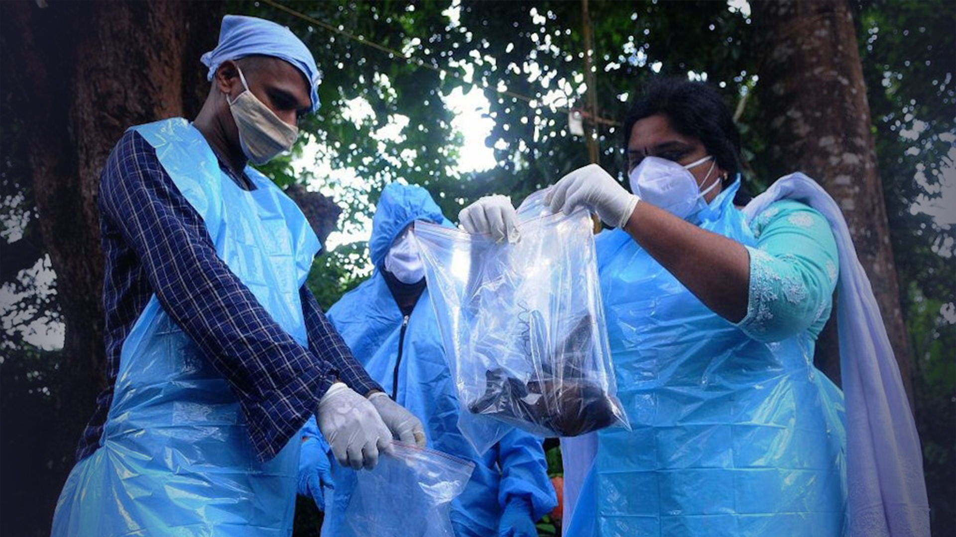 死亡率高达75%，目前无药可治！印度爆发尼帕病毒疫情，5人确诊近100人被隔离，泰国尼泊尔宣布采取措施