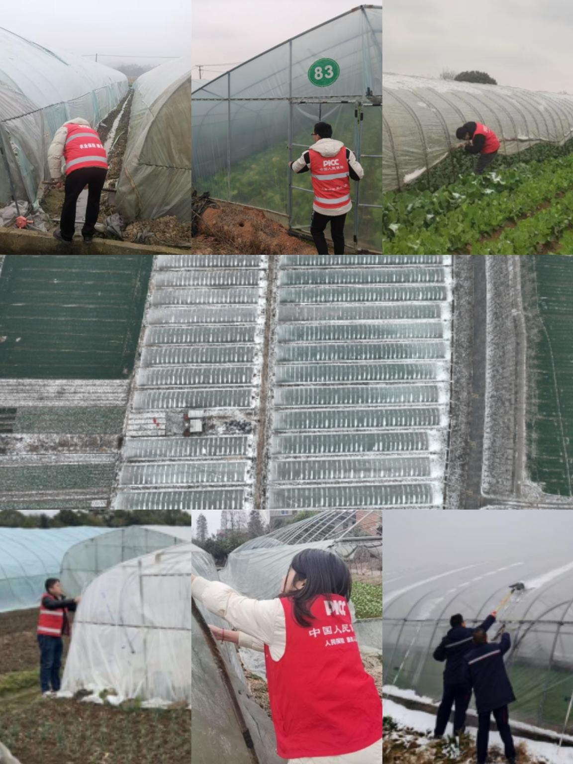 人保财险在寒潮中织密织牢应急服务保障网