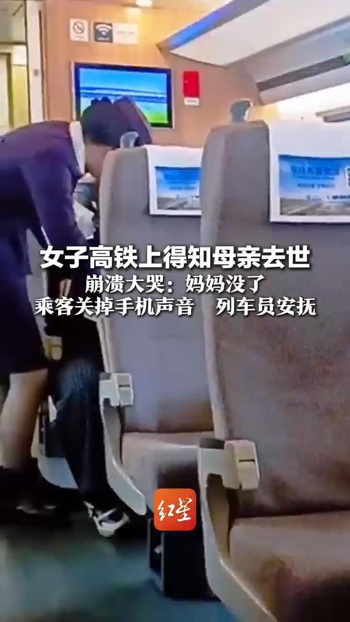 女子高铁上得知母亲去世崩溃大哭：妈妈没了 乘客关掉手机声音 列车员安抚 网友：这一刻整个车厢为她安静