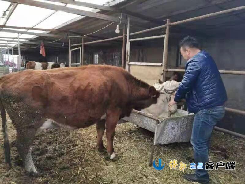 △永昌县河西堡镇西庄子村一家庭农场（资料图）