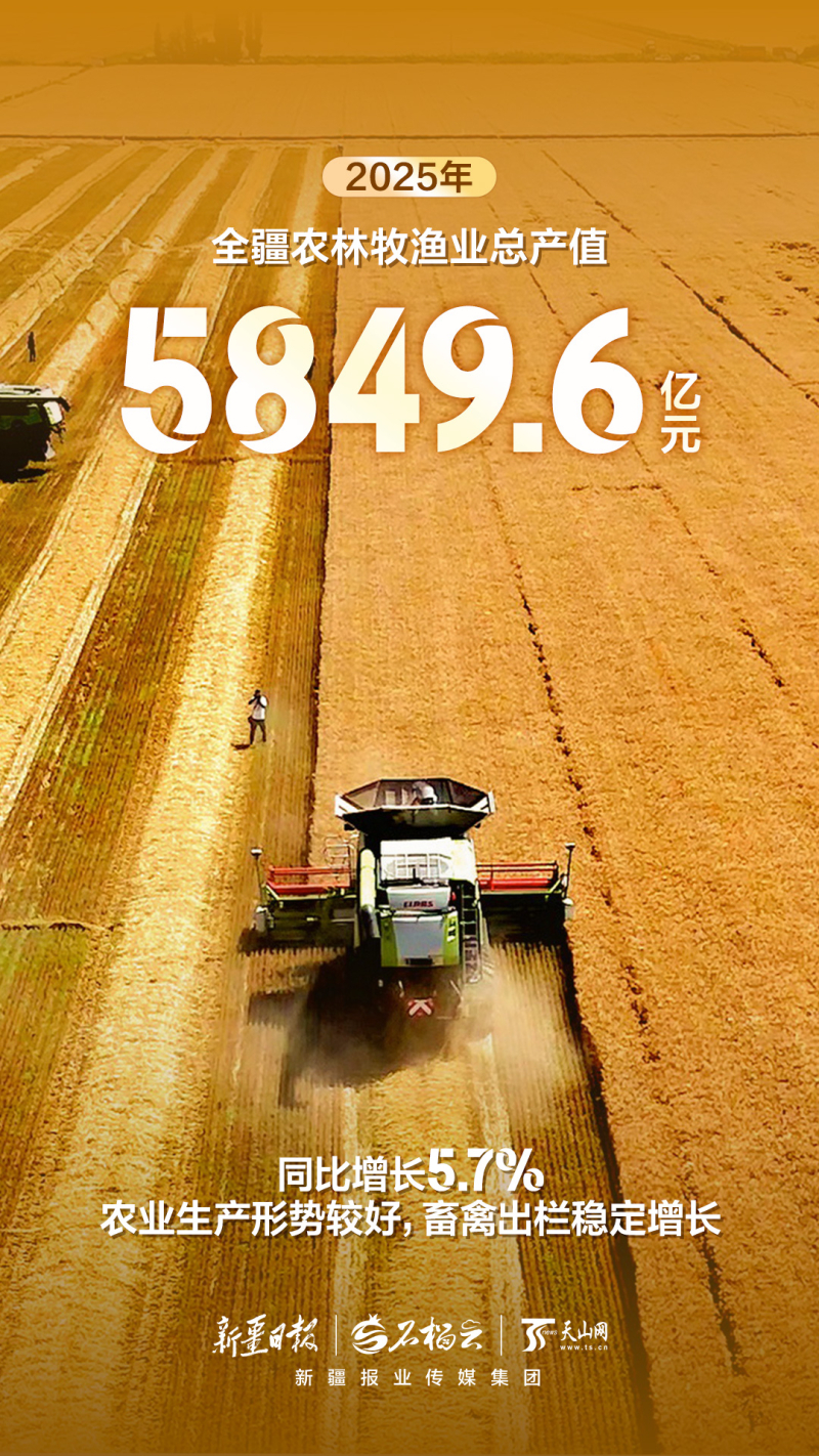 组海报丨2025年新疆经济运行“成绩单”来啦！