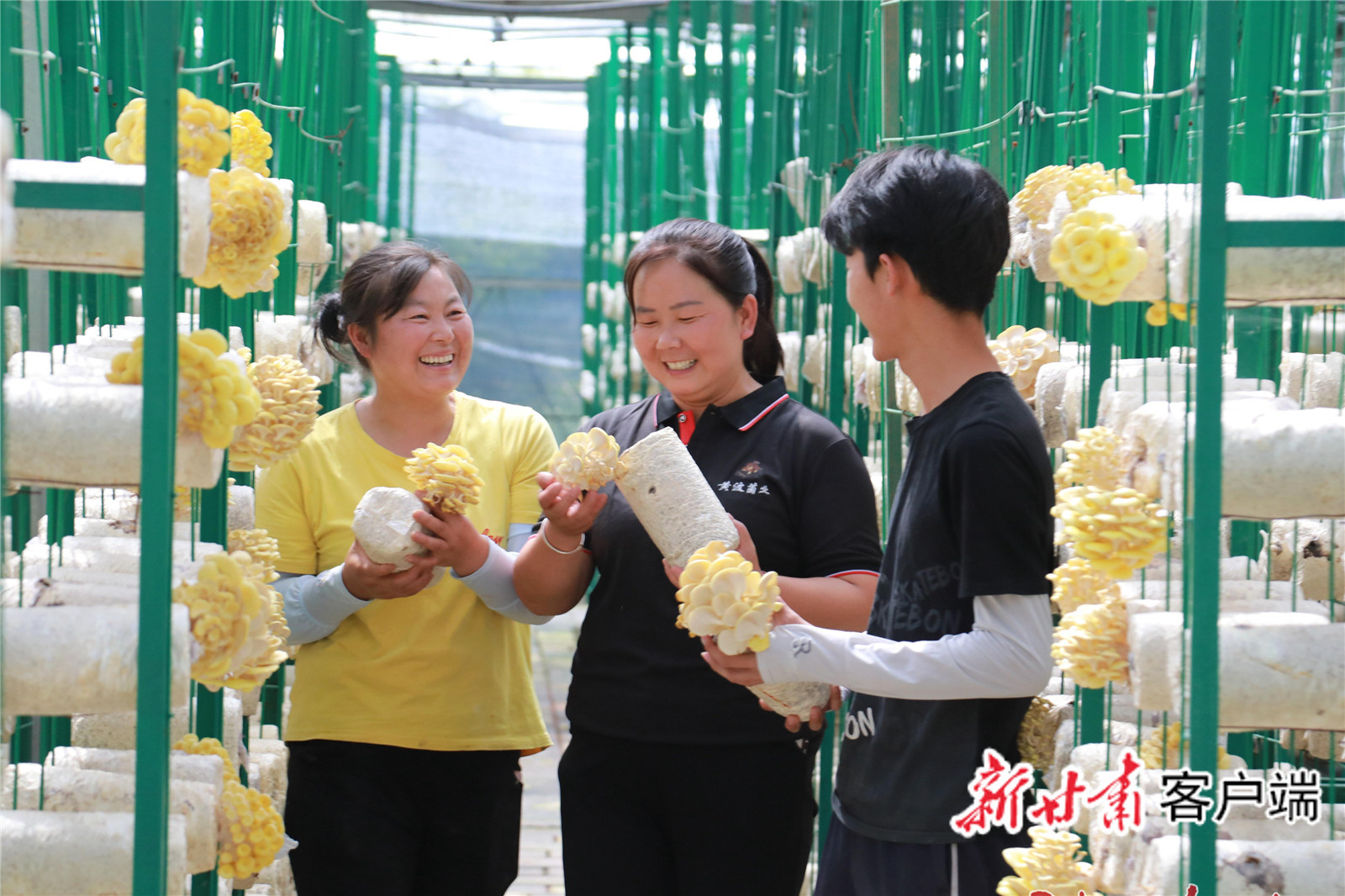 特色产业助农增收