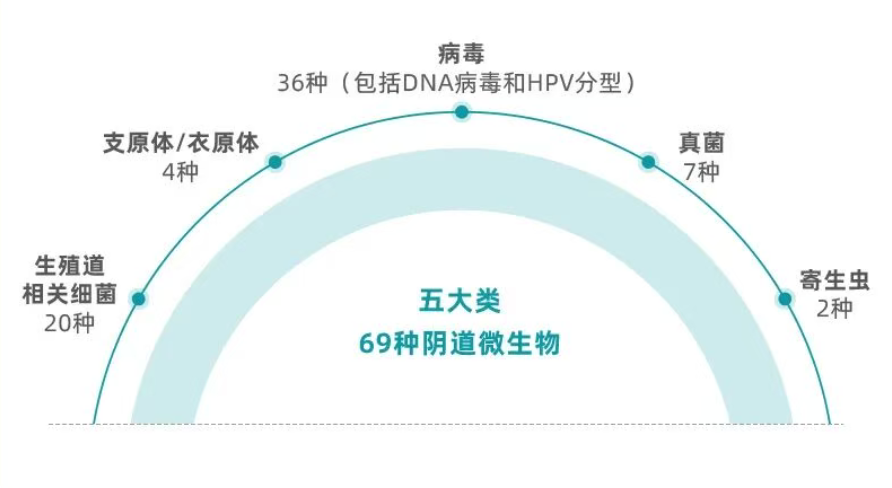 点击查看原始图片
