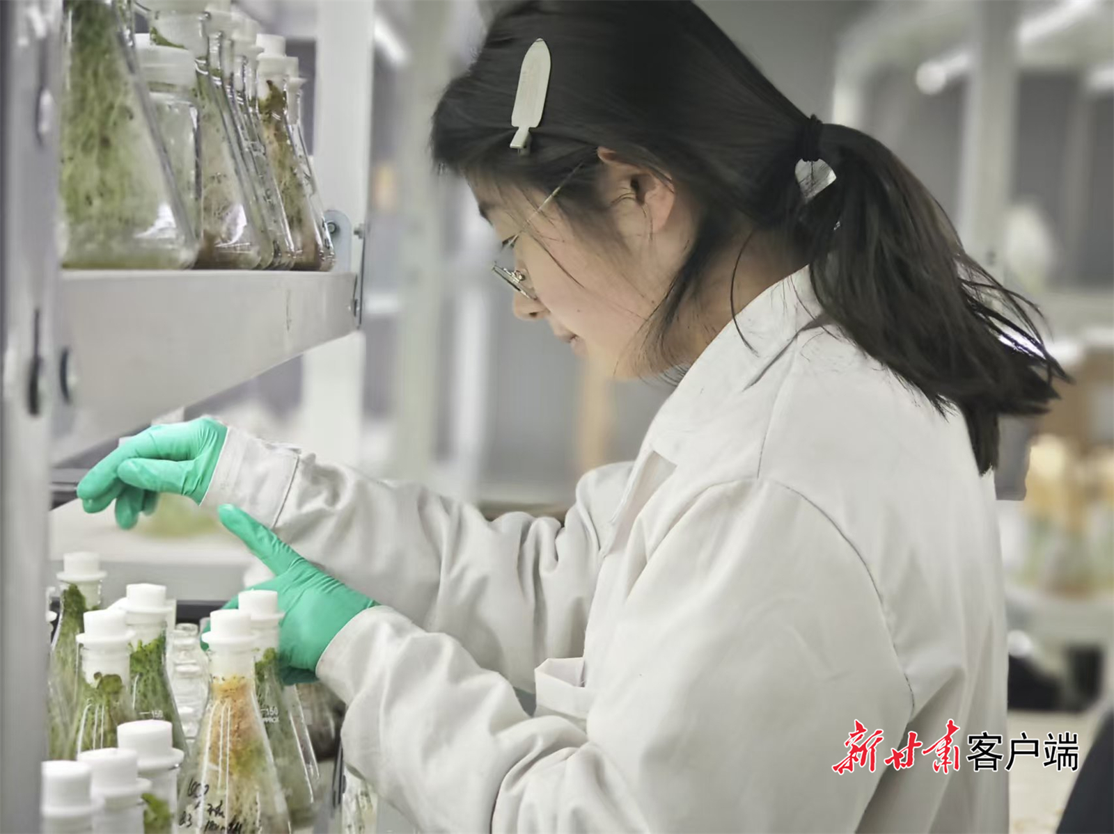 科研工作者在做实验　新甘肃&middot;甘肃日报记者　吴涵