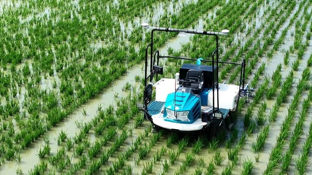 太和农场水田除草机器人