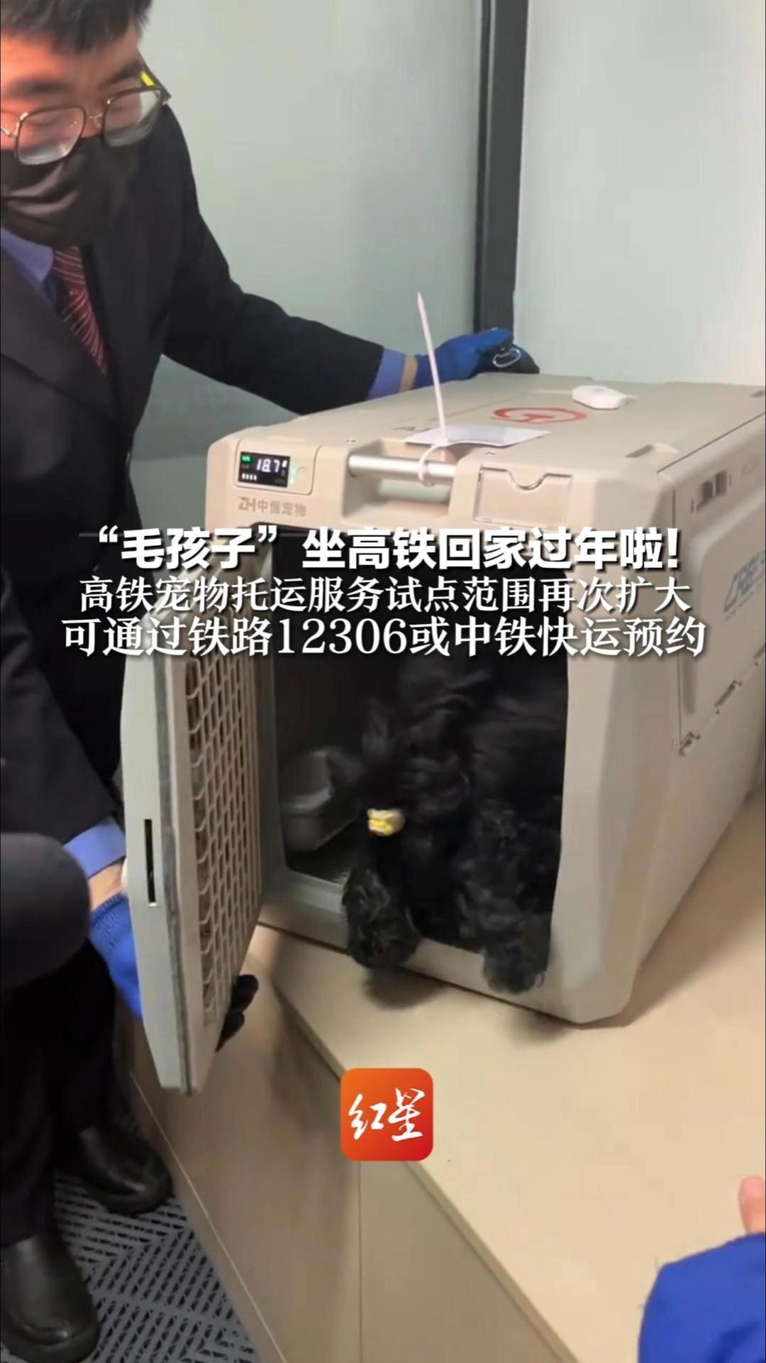 “毛孩子”坐高铁回家过年啦！高铁宠物托运服务试点范围再次扩大 新增67个车站 列车增至170趟 可通过铁路12306或中铁快运预约