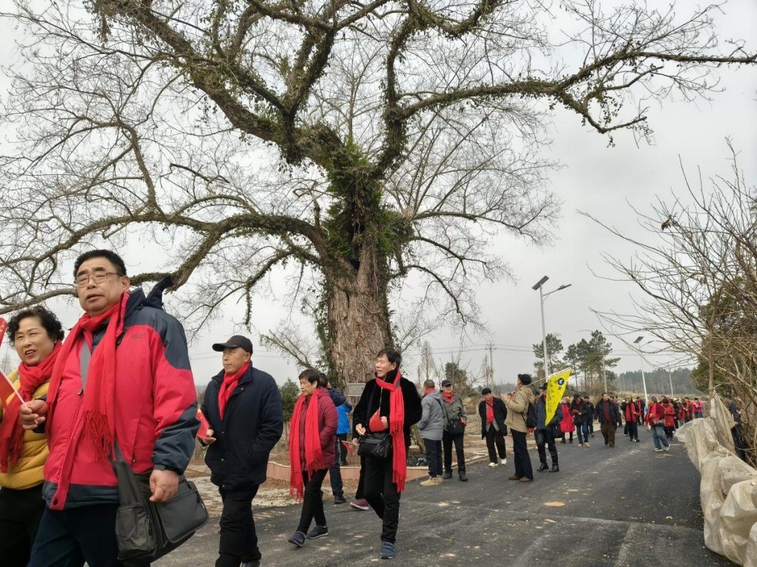 游客行走在村内。