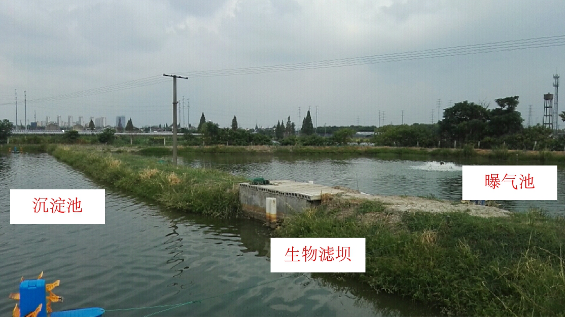 宁波鄞州:以顶层设计与科技赋能探索养殖尾水治理新模式