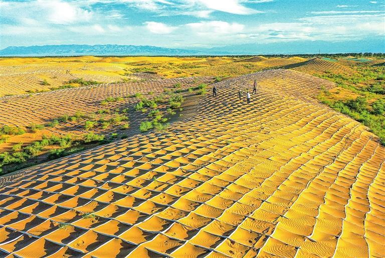 多年来,我省持之以恒开展沙区防沙治沙工作,初步形成绿进沙退的良好局面。周文艳